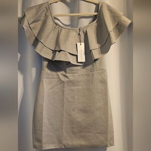 After Market Chic Gray Ruffled Mini Dress -  Large